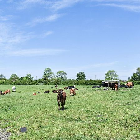 Green Acre Farm Ely Extérieur photo